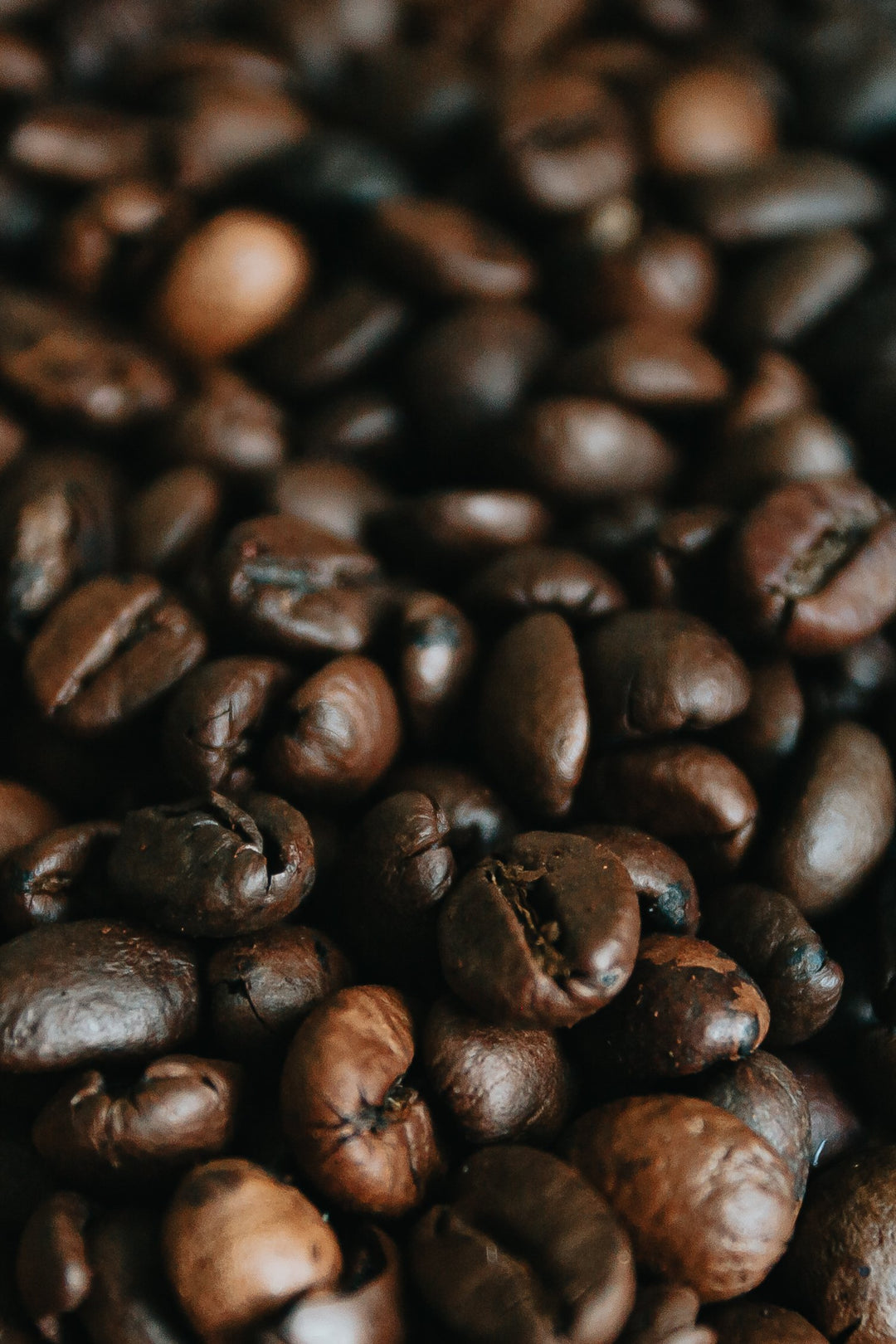 Medium & Dark Roast